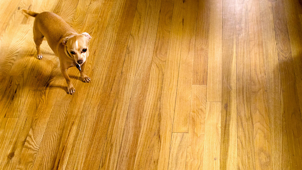Choosing the right wood flooring grades will make your home stand out